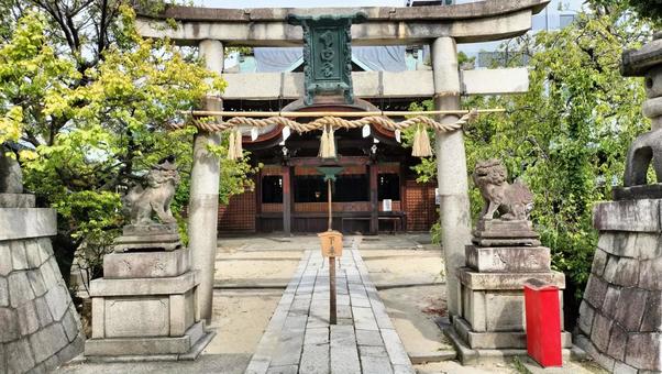 京都 神社 京都 神社の写真