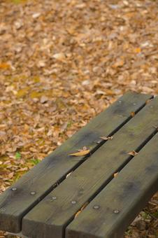 落ち葉と公園のベンチ ベンチ,休憩,背景の写真素材