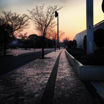 夕焼け散歩道 夕焼け散歩道の写真