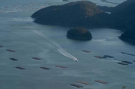山の上から望む瀬戸内海2 山の上から望む瀬戸内海2 瀬戸内海,牡蠣,筏の写真素材