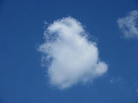 青空にうかぶ白いシマエナガ型の雲 青空にうかぶ白いシマエナガ型の雲の写真