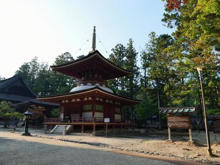 高野山 金剛峰寺 境内 高野山 金剛峰寺 境内の写真