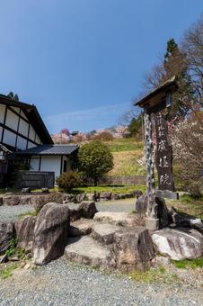 250421信濃比叡廣拯院 250421信濃比叡廣拯院の写真
