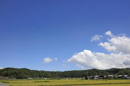 青空 青空,快晴,空の写真素材