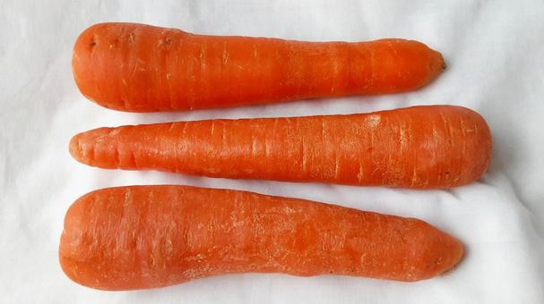 人参3本・1 人参3本・1の写真