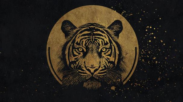 黒背景の金虎アートの写真