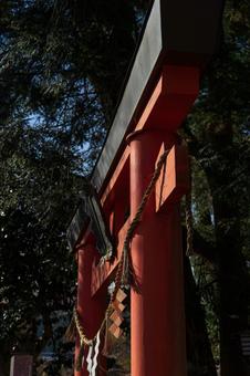 赤鳥居 赤鳥居の写真