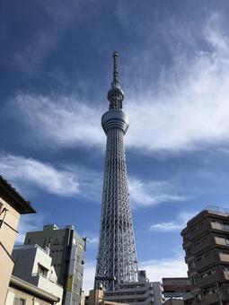 Photo, sky tree, du lịch, cao, 