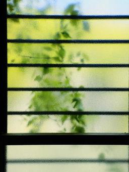 窓 窓 戸,扉,ガラスの写真素材