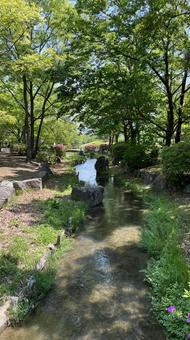 川中島古戦場史跡公園の川 風景,花,木の写真素材