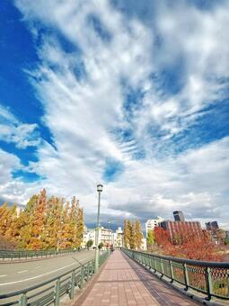 源八橋（大阪）4 源八橋,大阪の橋,歩道の写真素材