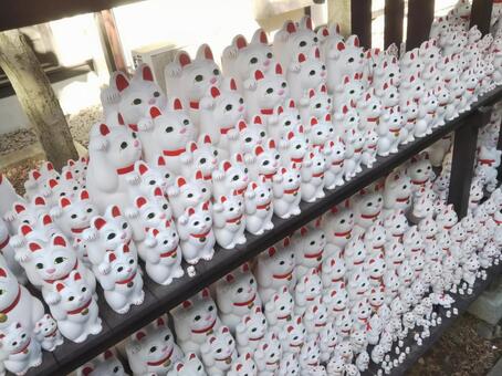 招き猫　左 招き猫,豪徳寺,猫の写真素材