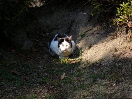 ぶち　正面の写真