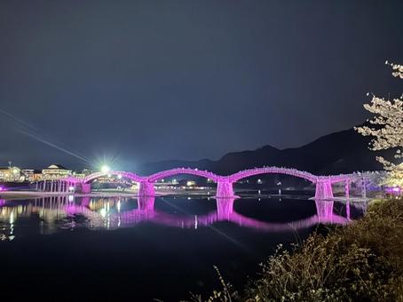錦帯橋のライトアップ 錦帯橋のライトアップ 錦帯橋,ライトアップ,春の錦帯橋の写真素材