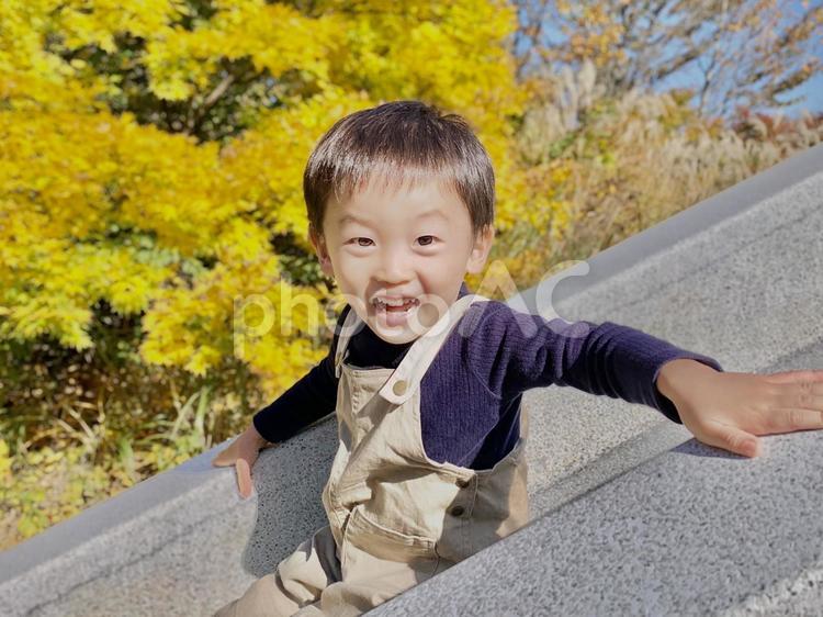 滑り台 子ども,滑り台,公園の写真素材