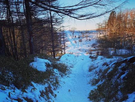 冬の森の雪道トレイル 雪,冬,登山の写真素材