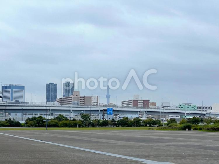 都立東京臨海広域防災公園の風景 都立東京臨海広域防災公園,スカイツリー,東京の写真素材