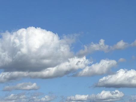 照片, 夏天, 天空, 晴天, 