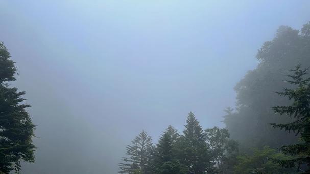 Photo, natural, disturbance, mountain back, 