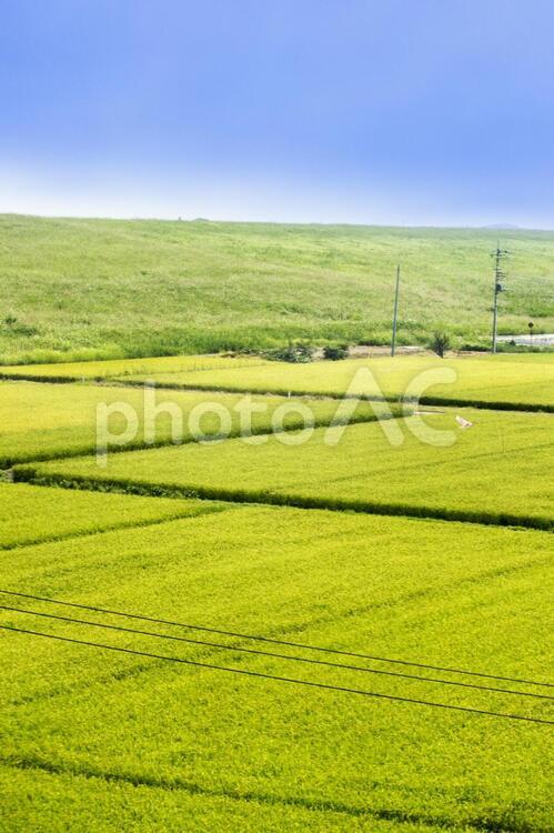 田園風景 背景,田園風景,田んぼの写真素材