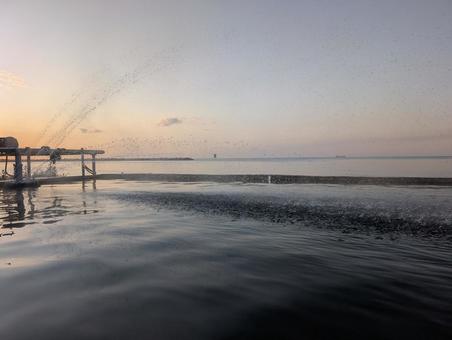 温泉 温泉の写真