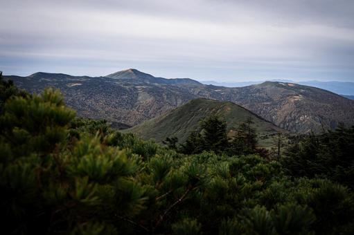 八甲田山 ハイマツと櫛ヶ峯 八甲田山 ハイマツと櫛ヶ峯 秋,八甲田山,十和田八幡平国立公園の写真素材