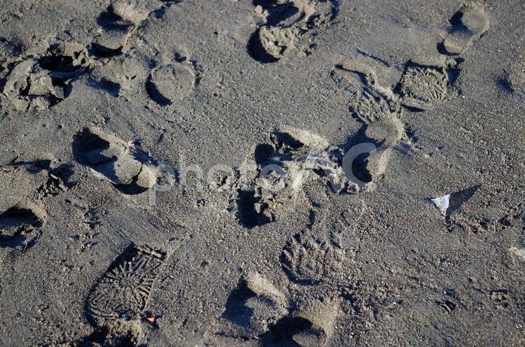 波打ち際の風景 海,海岸,波打ち際の写真素材