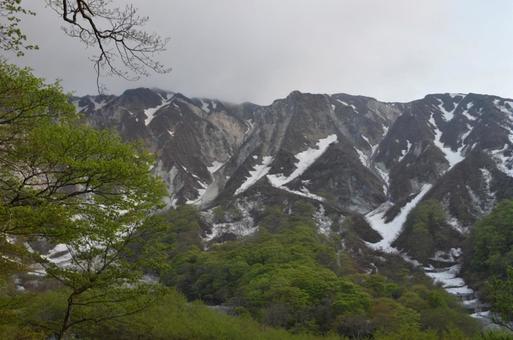 大山 大山の写真