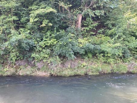 川 川の写真