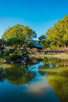 【福岡】太宰府天満宮の風景 太宰府天満宮,福岡,太宰府の写真素材