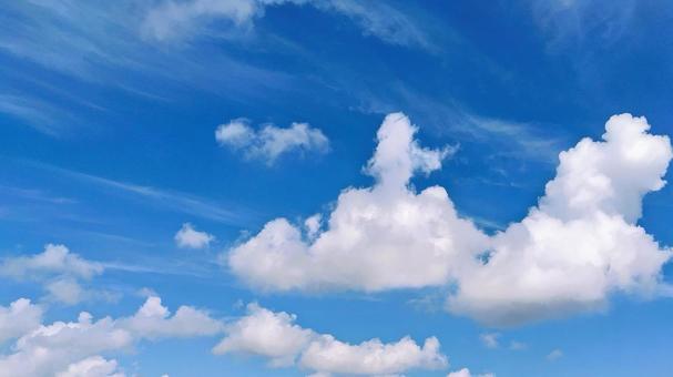 札幌の空 積雲と夏の青空 札幌の空 積雲と夏の青空 青空,夏,空の写真素材