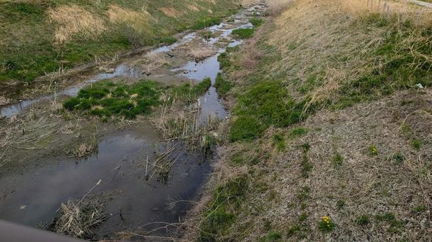 River and bank, JPG