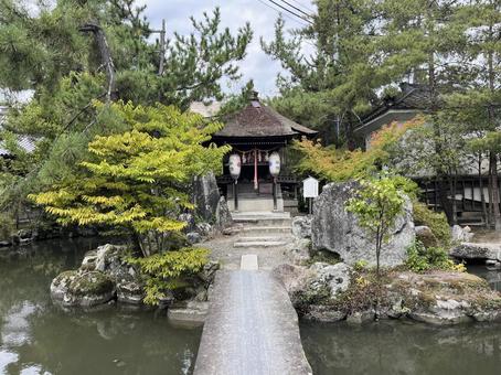 長濱八幡宮 長濱八幡宮 八幡宮,神社,長浜の写真素材