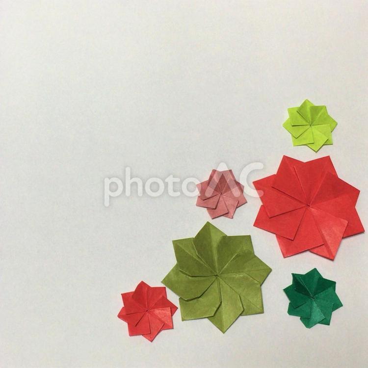 折り紙　ダリア　クリスマス ダリア,折り紙,クリスマスの写真素材