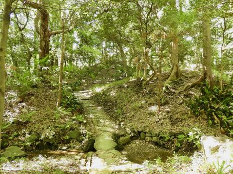 小石川後楽園内木曽路 小石川後楽園,後楽園,庭園の写真素材
