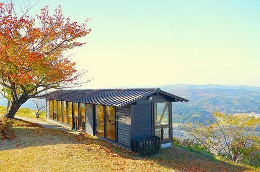 秋の山景（木の葉） 秋,山,旅行の写真素材
