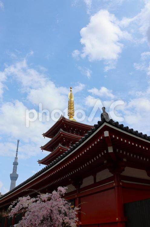 ４月上旬の浅草寺と東京スカイツリーと桜 浅草寺,寺,伽藍の写真素材