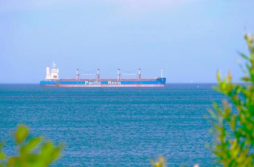 海、タンカー、夏草 海、タンカー、夏草 海,船,草の写真素材