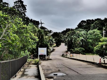 曇天の坂道 曇天の坂道の写真