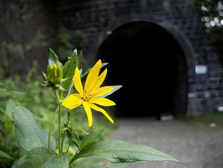 廃線のトンネル 廃線のトンネル トンネル,廃線,線路の写真素材