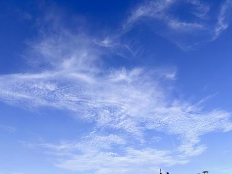 【空の写真】秋空 【空の写真】秋空 秋空,空,雲の写真素材