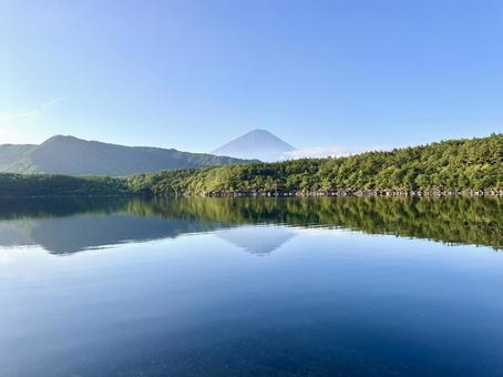 静かな朝の西湖と夏の富士山 静かな朝の西湖と夏の富士山 富士山,西湖,湖の写真素材