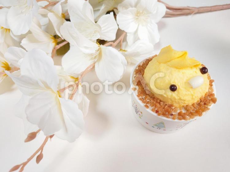 動物ケーキ ヒヨコ,鳥,小鳥の写真素材