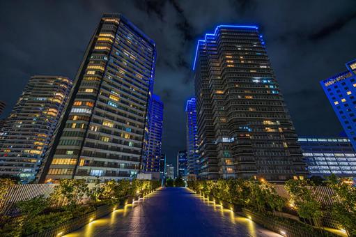 都市夜景 都市夜景の写真