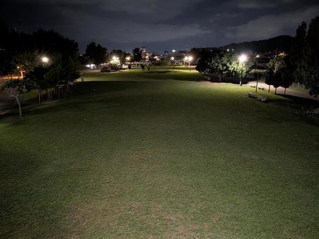 都市のオアシス、ナイトパーク 夜,公園,東浜海浜公園の写真素材
