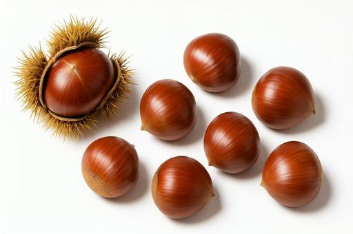 秋の味覚・栗とイガのアップ写真・果実 秋の味覚・栗とイガのアップ写真・果実の写真