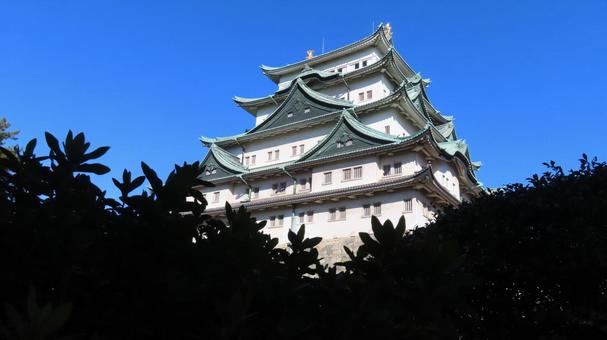 名古屋城　天守　大天守 名古屋城,尾張徳川家,御三家の写真素材