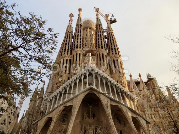 朝のサグラダファミリア バルセロナ,バルセロナの街,バルセロナの街並みの写真素材