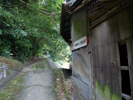 高野山 町石道 高野山 町石道の写真