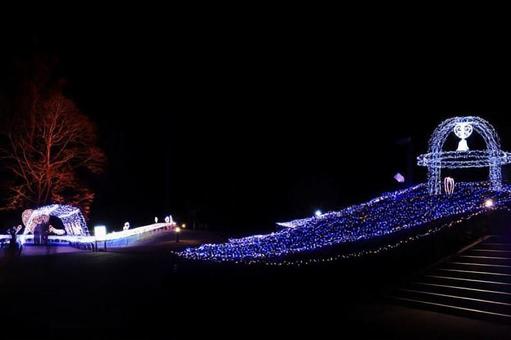 菅平のイルミネーション_08 菅平のイルミネーション_08の写真